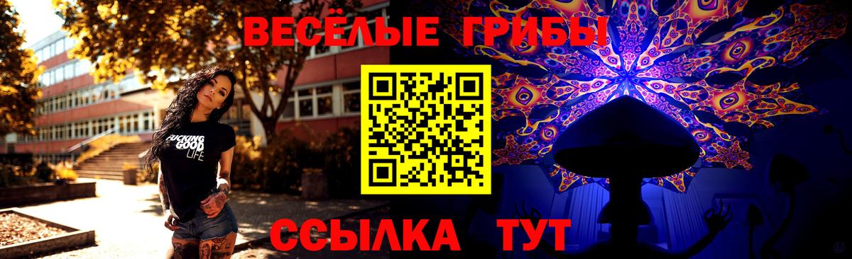 Балтийск  Псилоцибиновые грибы мухоморы  Вход с VPN 