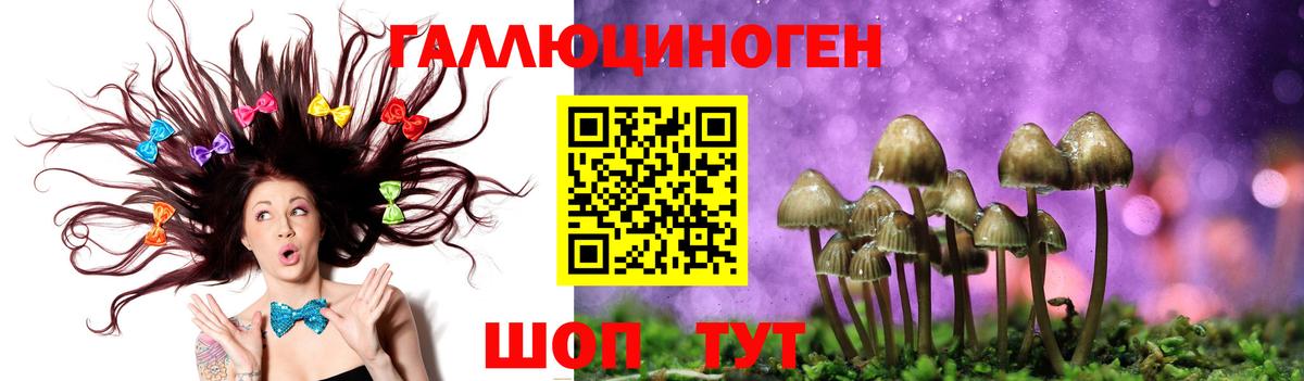 Галлюциногенные грибы Cubensis Балтийск